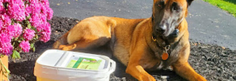 BJ’s Raw Pet Food