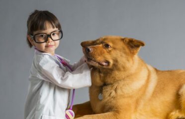Downtown Animal Care Center