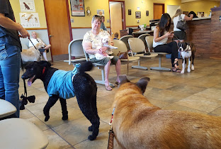 Broadview Animal Clinic