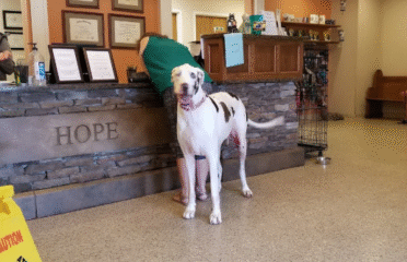 Hope Animal Clinic
