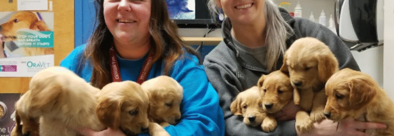 Caldwell Mill Animal Clinic