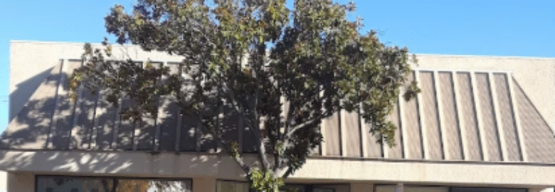 Disability Resources Agency for Independent Living