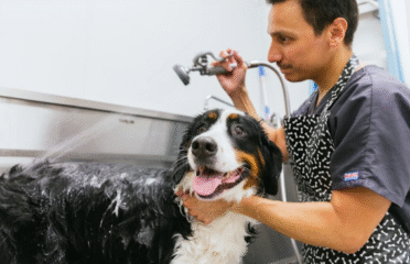 PetVet Animal Hospital