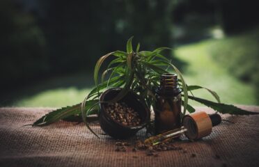 blog-grid-1-410x308
