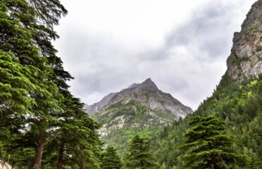 blog-grid-1-410x308